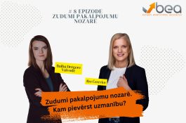 Jauns raidieraksts “Zudumi pakalpojumu nozarē” ar Baibu Drēgeri-Vaivodi